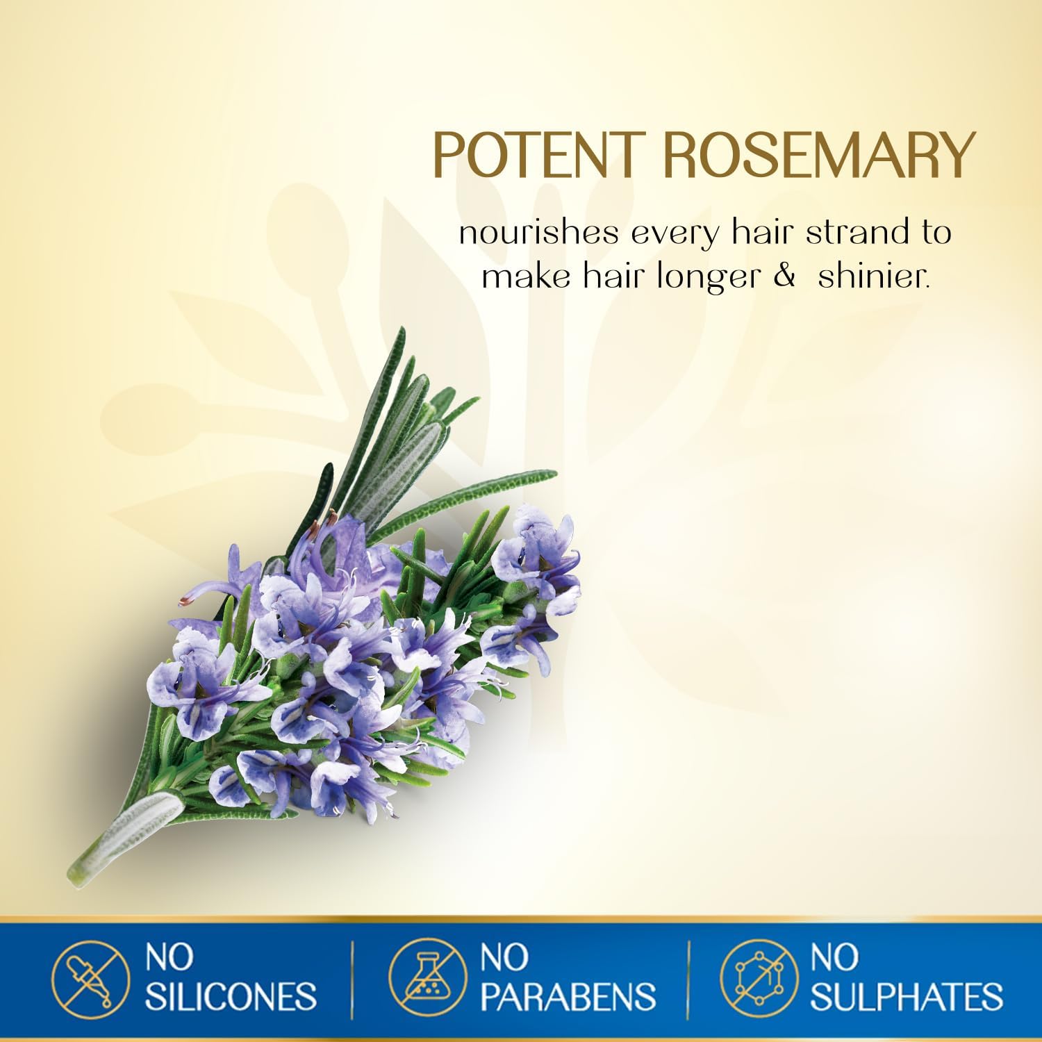 Herbs India 7 Seed Hair Oil with Rosemary - 280 ml | Nourishing Herbal Oil for Lush, Healthy Hair - Image 3