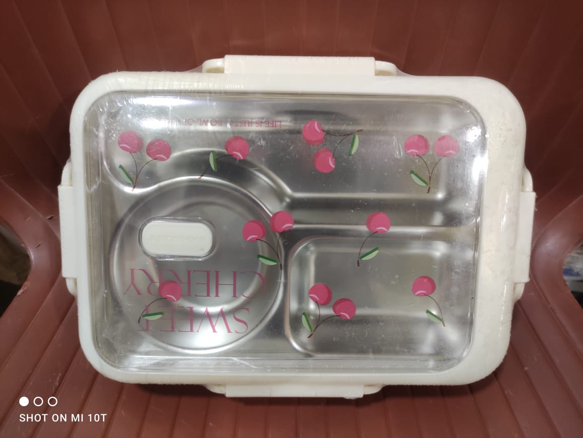 Rectangular Lunchbox with a clear lid | Lunch Box for Children, Kids and Adult | Portable Picnic Storage | School Student Food Container - Image 9