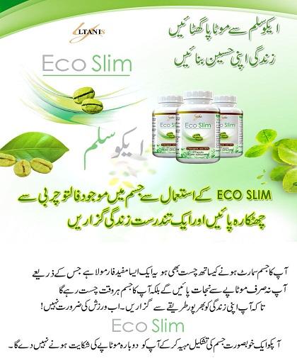 Eco Slim Capsule / natural weight loss formula - Image 12