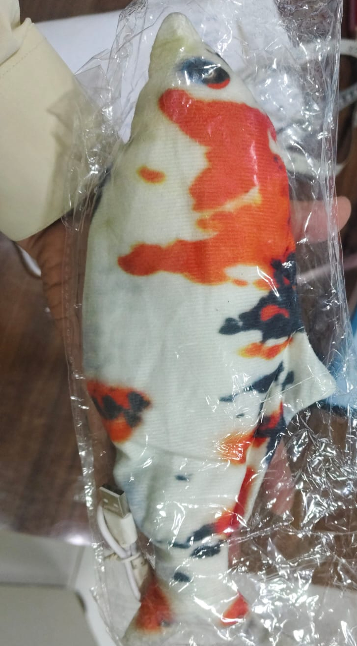 Rechargeable Flopping fish toys for babies and toddlers. (random fish ) - Image 5