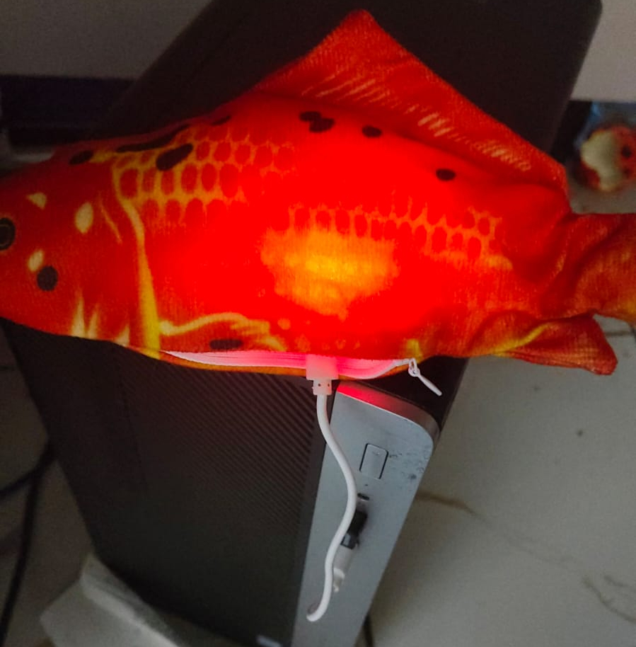Rechargeable Flopping fish toys for babies and toddlers. (random fish ) - Image 6